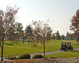 Whitebirch Resort At Breezy Point المظهر الخارجي الصورة